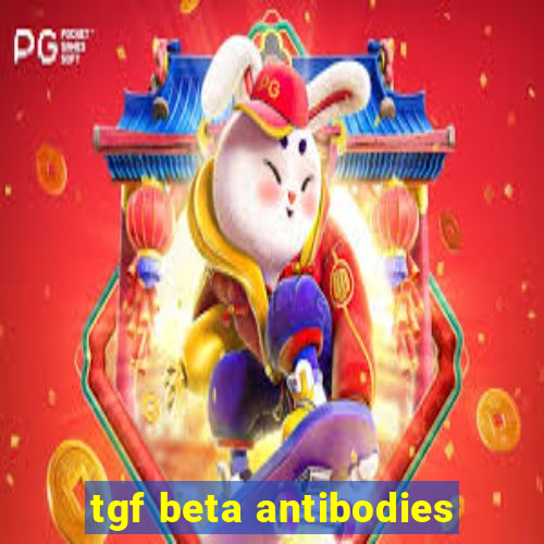 tgf beta antibodies