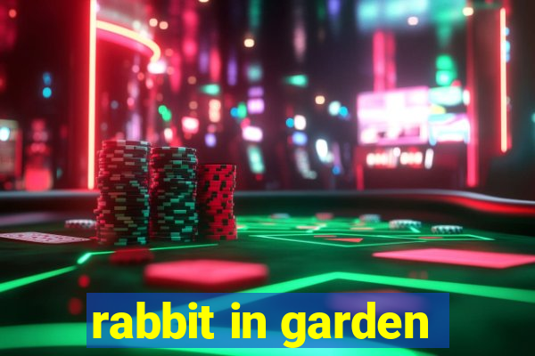 rabbit in garden