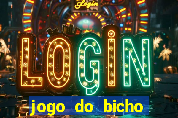 jogo do bicho crash bingo