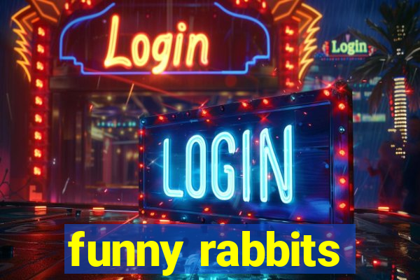 funny rabbits