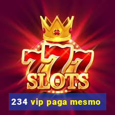 234 vip paga mesmo