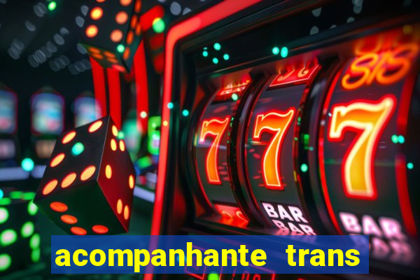 acompanhante trans em santos