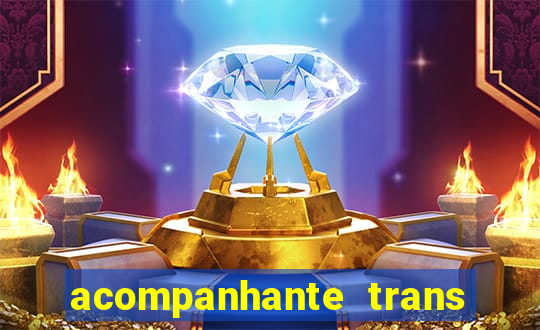 acompanhante trans em santos