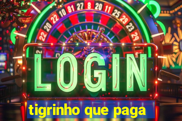 tigrinho que paga