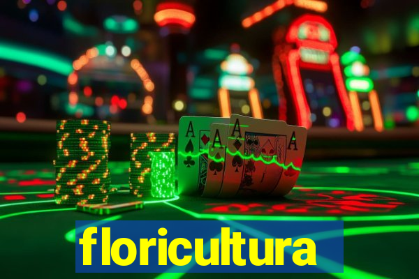 floricultura cruzeiro novo