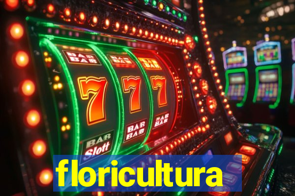 floricultura cruzeiro novo