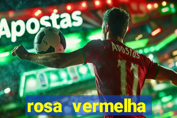 rosa vermelha (letra e cifra)