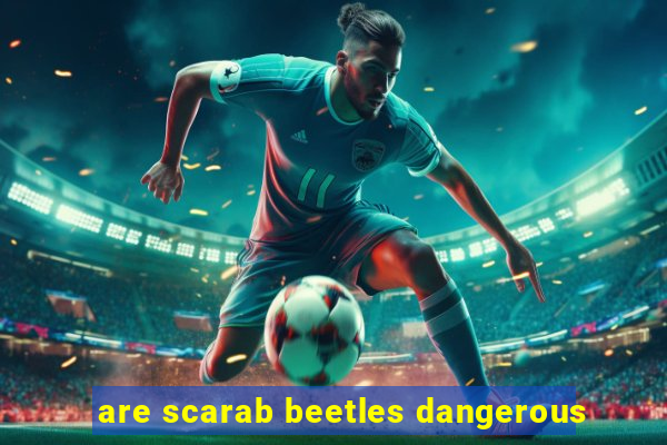 are scarab beetles dangerous