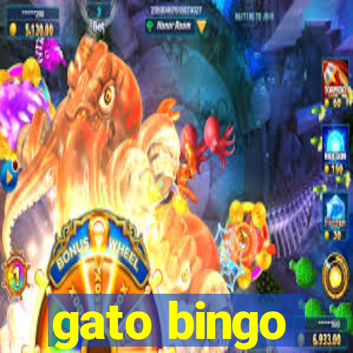 gato bingo