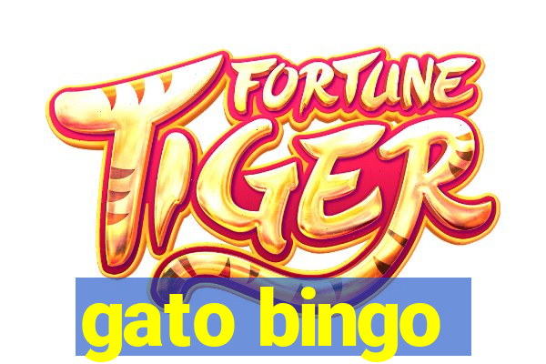 gato bingo