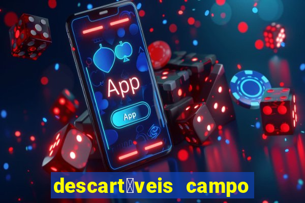 descart谩veis campo grande rj