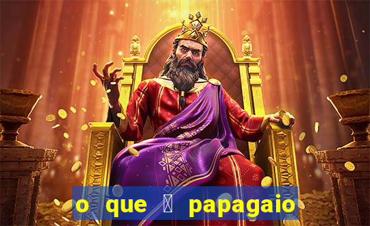 o que 茅 papagaio de pirata