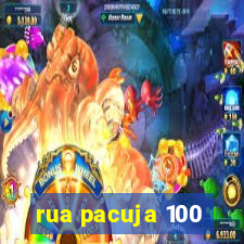 rua pacuja 100