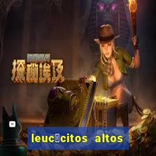 leuc贸citos altos em c茫es