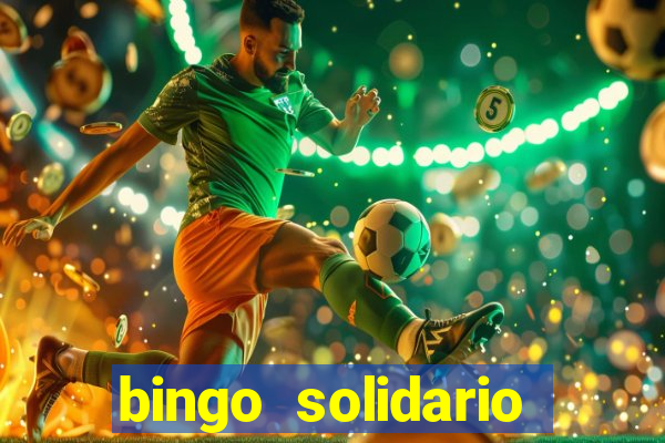 bingo solidario como organizar