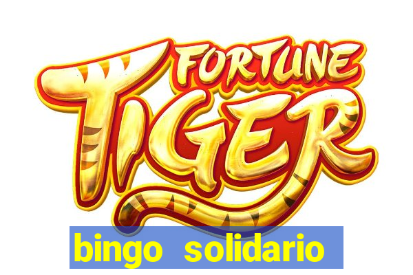 bingo solidario como organizar