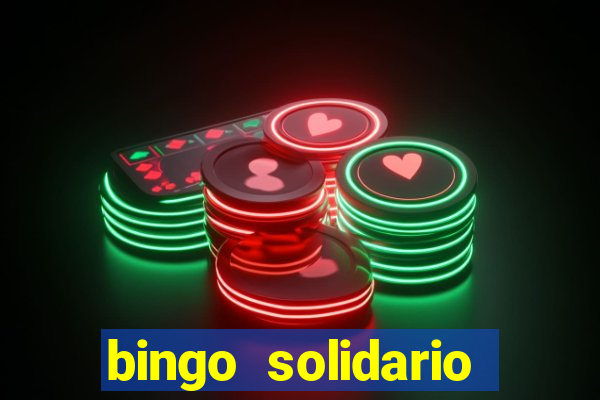 bingo solidario como organizar