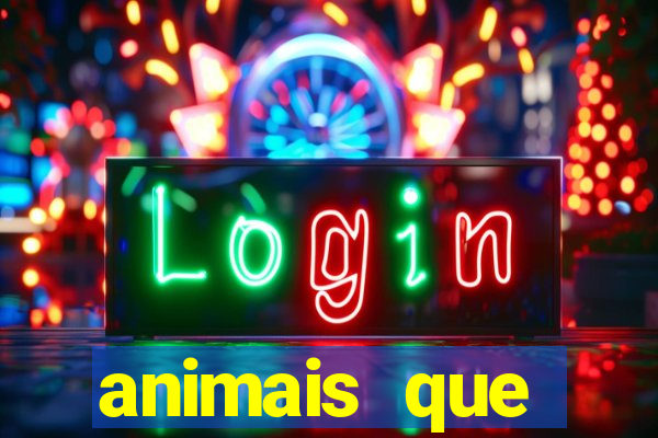 animais que produzem l茫