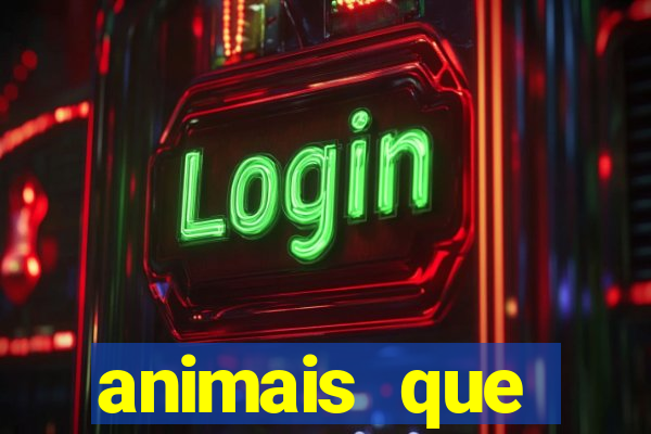 animais que produzem l茫