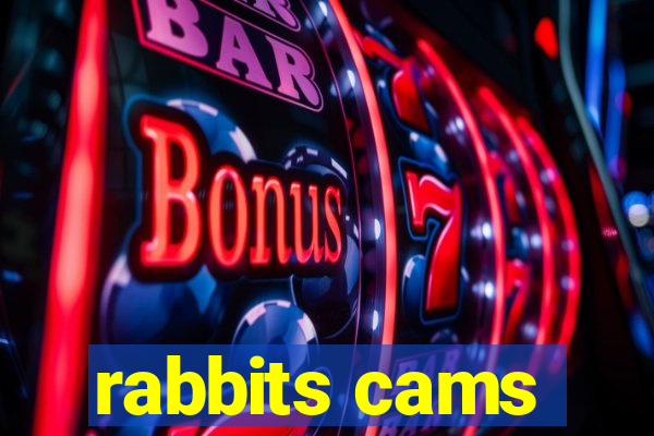 rabbits cams