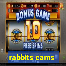 rabbits cams