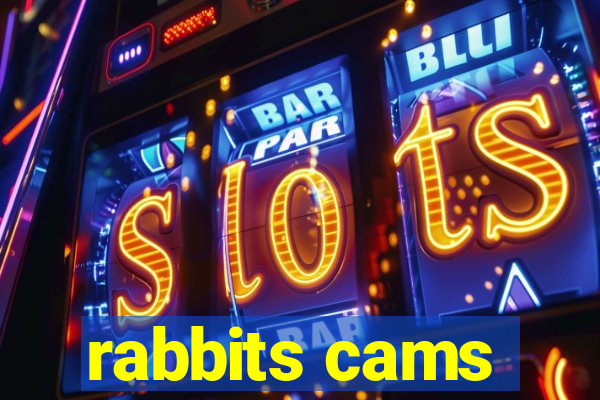 rabbits cams