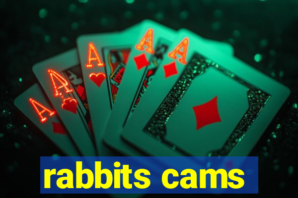 rabbits cams