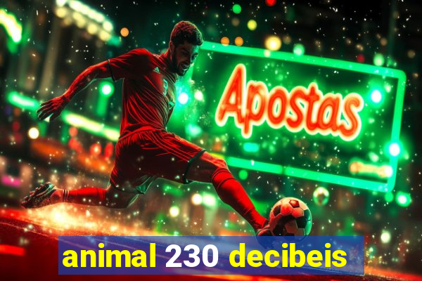 animal 230 decibeis