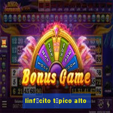 linf贸cito t铆pico alto