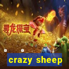 crazy sheep