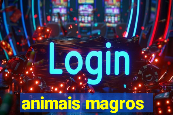 animais magros