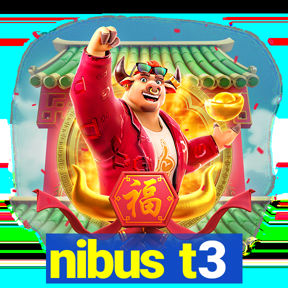 nibus t3