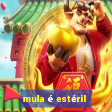 mula é estéril