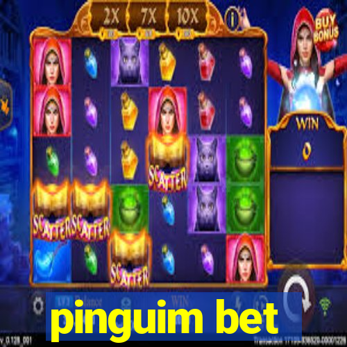 pinguim bet