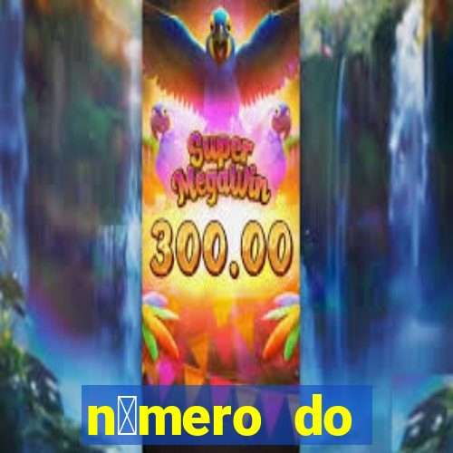 n煤mero do bate-papo da vivo