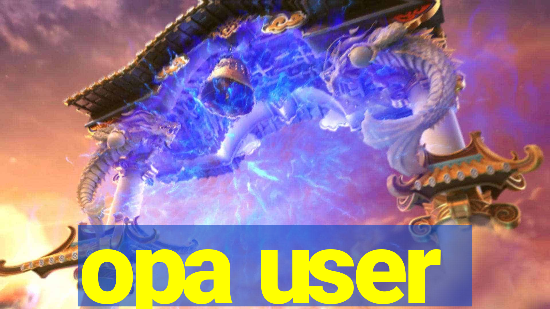 opa user