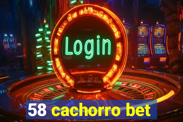 58 cachorro bet