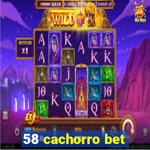 58 cachorro bet