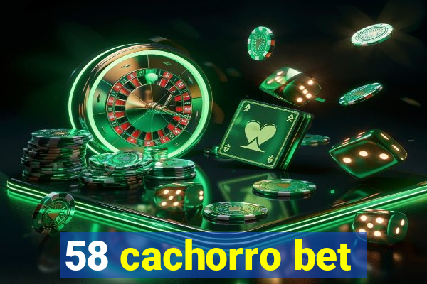 58 cachorro bet