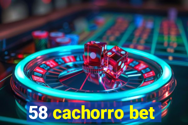 58 cachorro bet