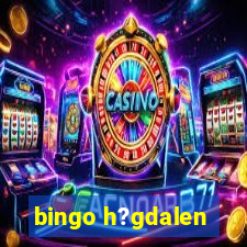 bingo h?gdalen