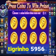 tigrinho 5956