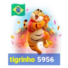 tigrinho 5956