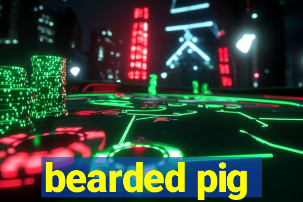 bearded pig