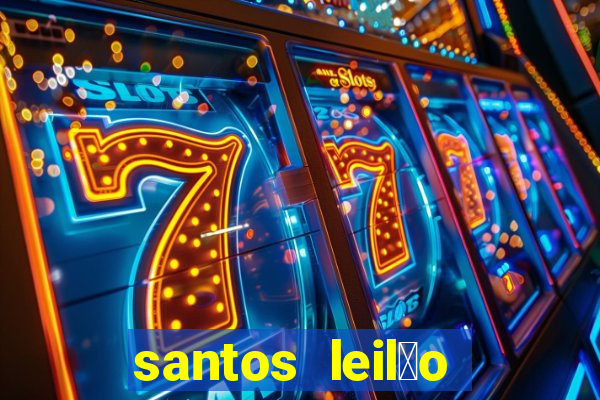 santos leil茫o passo fundo