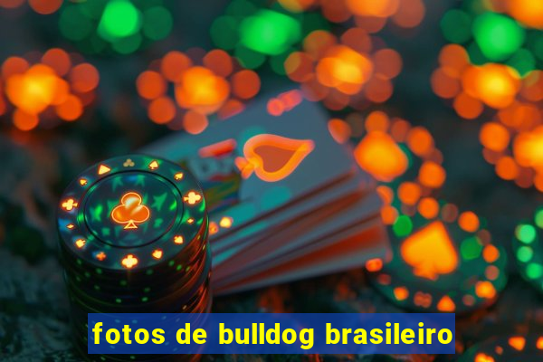 fotos de bulldog brasileiro