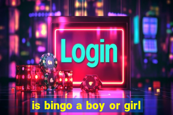 is bingo a boy or girl