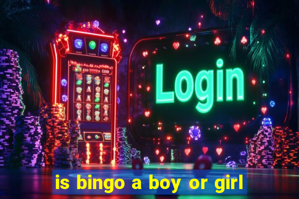 is bingo a boy or girl