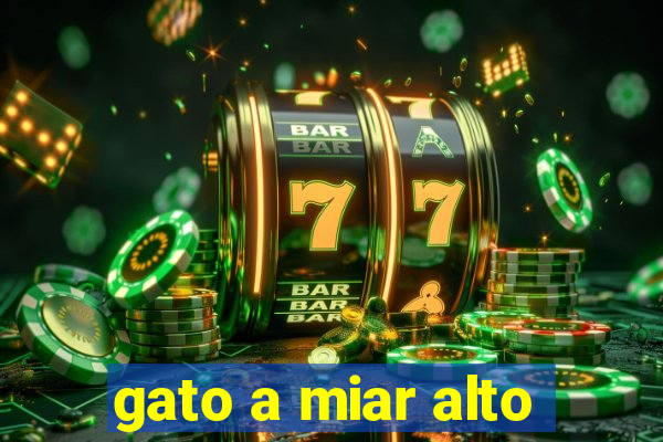 gato a miar alto