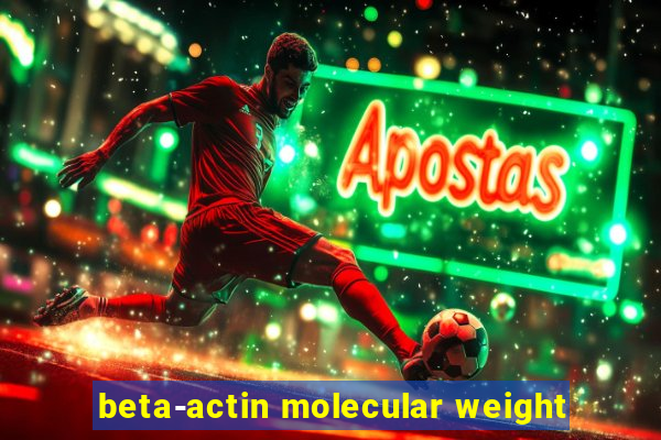 beta-actin molecular weight